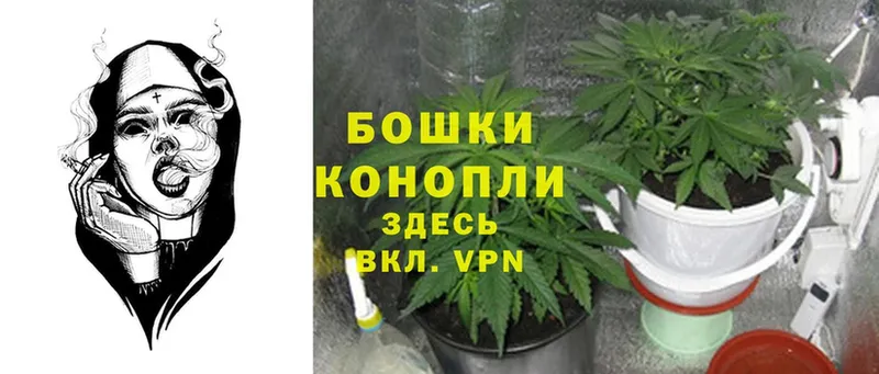 Каннабис White Widow  Вельск 